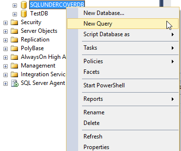 2017-06-02 17_31_42-SQLQuery2.sql - LAPTOP-ADRIANB_SQLDEV2.SQLUNDERCOVERDB (ADASTRA_buckmana (61))_ .png