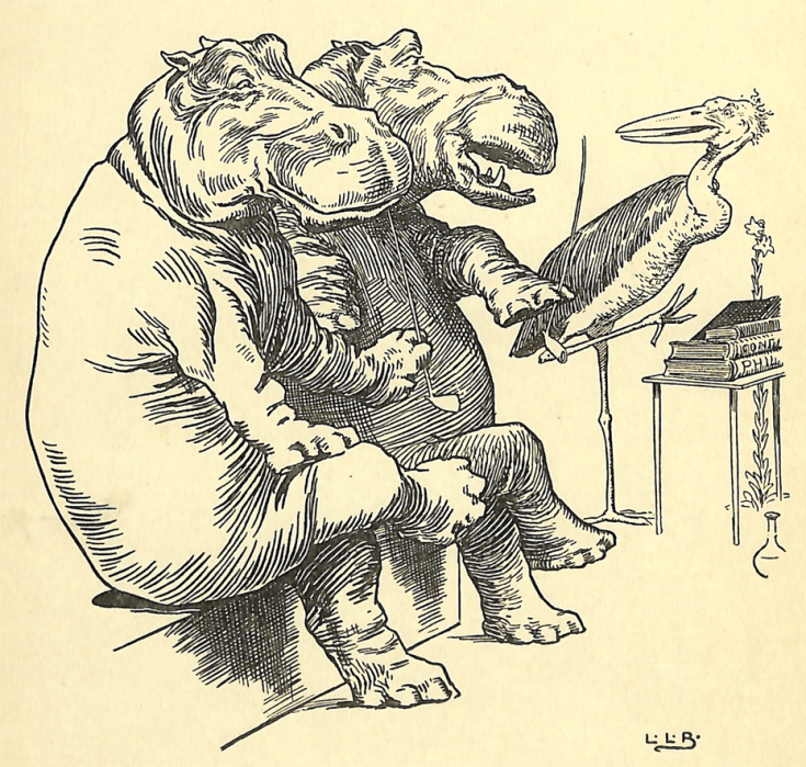 Johnny_Crow's_Garden_-_Till_the_Hippopotami_Said_-__Ask_no_further_'What_am_I_'_